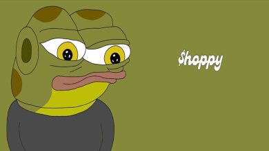 رشد حیرتانگیز قیمت هوپی در بازار؛ بازده ماهانه HOPPY به ۷۷۰ درصد رسید!