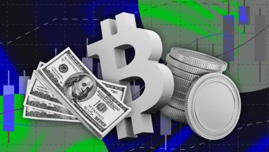 رشد سرمایهگذاری در بازار ارزهای دیجیتال علیرغم افزایش نوسانات!