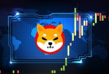 رشد ۳۱ درصدی شیبا؛ آیا این رالی ادامهدار خواهد بود؟