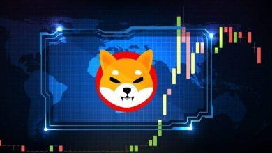رشد ۳۱ درصدی شیبا؛ آیا این رالی ادامهدار خواهد بود؟