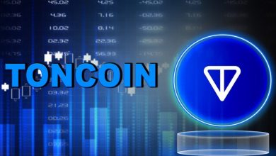 رشد ۶۰ درصدی ارزش سرمایه قفلشده در شبکه تون! قیمت TON نیز افزایشی میشود؟
