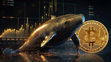 رفتار متضاد نهنگ‌ها و سرمایه‌گذاران خرد بیت‌کوین؛ واکنش‌ها به ریزش بازار چیست؟