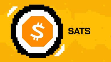 ستس هم به جمع سوددهترینها پیوست! هدف قیمت این میمکوین بیتکوین کجاست؟