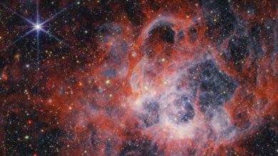 سرنخهایی از جهان هستی با بررسی ستارگان تپنده