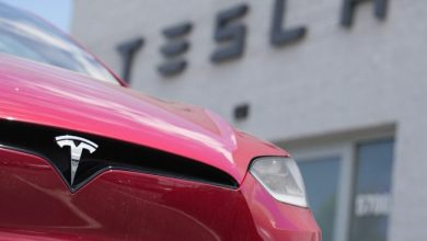 سهام تسلا با انتشار گزارش مالی فصل دوم 2024، حدود 10 درصد افزایش یافت