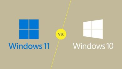 سهم بازار ویندوز 11 به بالاترین سطح خود رسید؛ ویندوز 10 همچنان در صدر