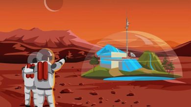 “شبیهسازی زندگی در مریخ” پس از یک سال به پایان رسید