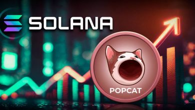 صعود خیرهکننده پاپکت؛ فرصتها و ریسکهای موجود پس از جهش ۱۱۷ درصدی POPCAT