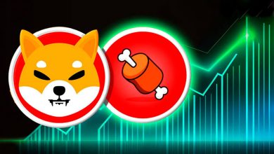 صعود قیمت SHIB و BONE؛ توسعهدهنده شیبا برای اولین بار در انظار عمومی ظاهر شد!