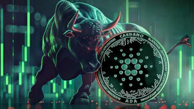 ظهور یک الگوی تاریخی و فوق صعودی برای کاردانو که هیچکس درباره آن صحبت نمیکند!
