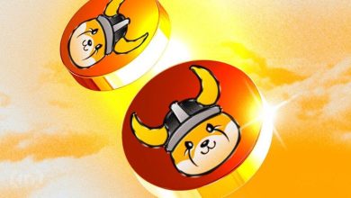 فلوکی در مسیر بهبود؛ بررسی دلایل صعود ۵۰ درصدی و چشمانداز پیش روی FLOKI