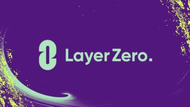 لیر زیرو به اوج رسید؛ ثبت رکورد تاریخی جدید با جهش ۲۰ درصدی قیمت!