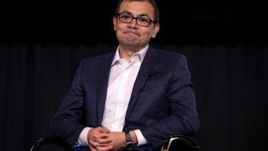 مدیرعامل گوگل دیپمایند: IQ هوش مصنوعی امروزی در حد گربه است