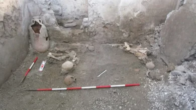 نجات از فوران آتشفشان، سپس مواجهه با زلزله؛ روایت دلخراش بدشانس‌ترین قربانیان پمپئی