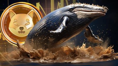 نهنگ بزرگ ۲.۷ تریلیون توکن شیبا اینو را بلعید! قیمت SHIB به کجا می‌رود؟