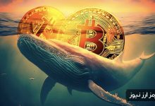 نهنگ‌ها در ذخیره بیت‌کوین رکورد زدند! منتظر از سرگیری صعود قیمت باشیم؟