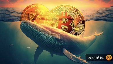 نهنگ‌ها در ذخیره بیت‌کوین رکورد زدند! منتظر از سرگیری صعود قیمت باشیم؟