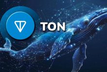 نهنگ‌های تون‌کوین به جنب و جوش افتاده‌اند! در بازار TON چه خبر است؟
