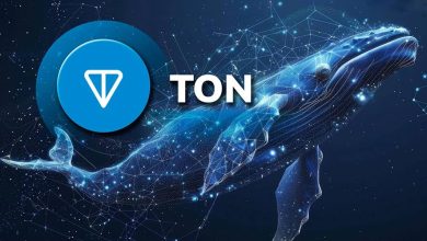 نهنگهای تونکوین به جنب و جوش افتادهاند! در بازار TON چه خبر است؟
