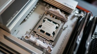 هرآنچه درباره Zen 5، معماری نسل بعدی پردازندههای AMD، میدانیم