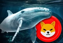 ورود بیش از ۶ تریلیون شیبا به کیفپولهای خودحضانتی! زمان خرید SHIB فرا رسیده؟