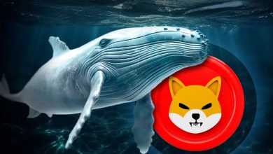 ورود بیش از ۶ تریلیون شیبا به کیفپولهای خودحضانتی! زمان خرید SHIB فرا رسیده؟