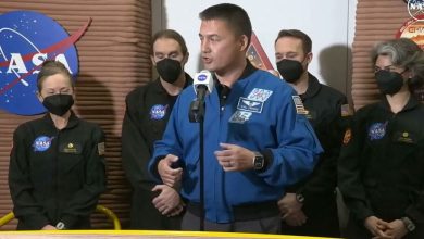 پایان آزمایش ناسا؛ محققان پس از یک سال از محیط شبیهسازیشده مریخ خارج شدند