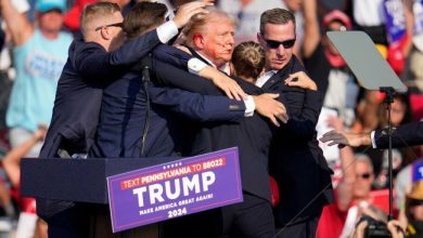 پس از ترور نافرجام دونالد ترامپ، قیمت میمکوین او حدود 50 درصد افزایش یافت