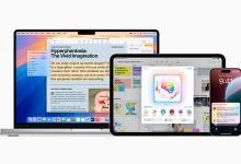 پس از جنجال یوتیوب، اپل اعلام کرد که هوش مصنوعی Apple Intelligence از مدل پرحاشیه OpenELM استفاده نمیکند