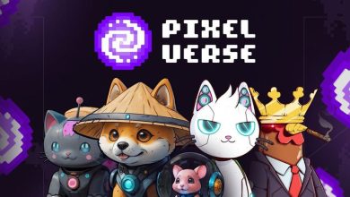 پنگوئنهای چاق به بازی پیکسلورس میروند! رشد قیمت رمزارز PIXFI!