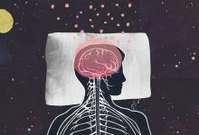 پژوهش جدید: قسمتی از مغز در هنگام بیداری چرت می‌زند و وقتی خوابیم بیدار می‌شود