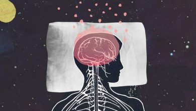 پژوهش جدید: قسمتی از مغز در هنگام بیداری چرت میزند و وقتی خوابیم بیدار میشود