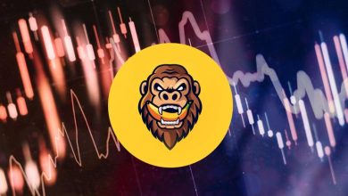 پیشبینی تداوم روند صعودی میمکوین گوریل؛ هدف قیمت GORILLA کجاست؟