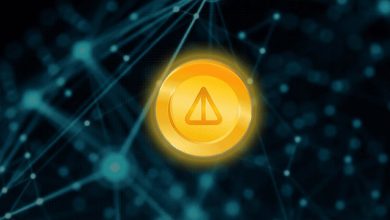 چشمانداز صعودی ناتکوین؛ چرا احتمال رشد قیمت NOT در ماه جولای بالا است؟