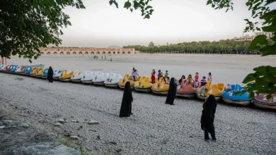 گرما فقط در شهر شما بیسابقه نیست؛ رکورد گرما در کل جهان درحال شکستهشدن است