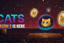 آغاز فصل دوم بازی کتز؛ زمان کشف امکانات جدید و کسب پاداشهای بیشتر فرا رسیده!