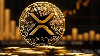 افزایش چشمگیر فعالیتها در شبکه ریپل! سرمایهگذاران برای صعود آماده میشوند؟