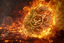 افزایش ۶۷۵۰ درصدی نرخ شیباسوزی! قیمت SHIB به زودی جهش خواهد کرد؟