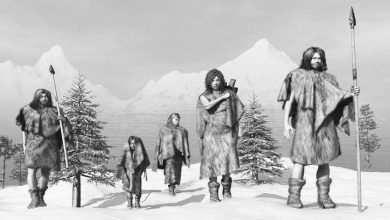 انسانهای باستانی از آخرین عصر یخبندان به خوبی جان سالم بهدر بردند