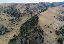 باستان‌شناسان با فناوری لیدار شهرهای گمشده جاده ابریشم را کشف کردند