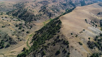 باستانشناسان با فناوری لیدار شهرهای گمشده جاده ابریشم را کشف کردند