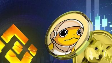 بایننس نیروی تازهای به نیرو و توربو میبخشد! آیا این صعود پایدار خواهد بود؟