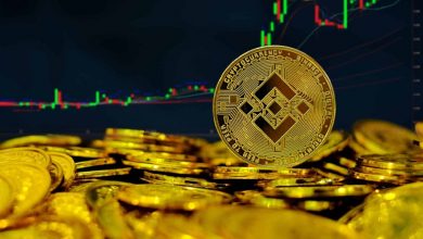 بایننسکوین در مسیر بهبود! قیمت BNB رکورد تاریخی ۷۲۰ دلار را میشکند؟