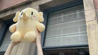 برای حمایت از مستودون عروسکهایش را بخرید!