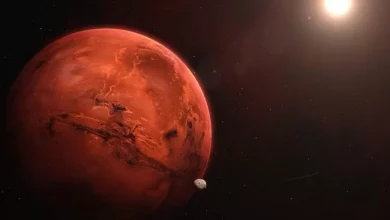 تحقیق ناسا: حیات میتواند در زیر یخهای غبارآلود مریخ وجود داشته باشد