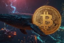 تعداد نهنگهای بیتکوین رکورد ۴ ساله را شکست! صعود قیمت نزدیک است؟