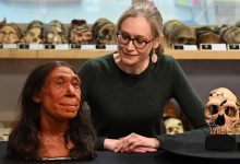 تلاش برای حل معمای دیرینه: آیا ما انسان‌ها واقعاً قاتل نئاندرتال‌ها بودیم؟