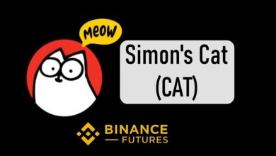 جهش ۶۰ درصدی سیمونز کت با کمک بایننس! آیا CAT میتواند رقبا را پشت سر بگذارد؟