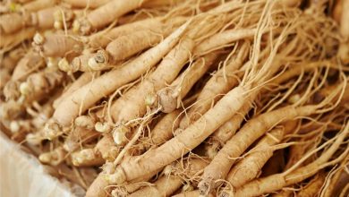 جینسنگ هندی یا آشواگاندا چیست و چه خواصی دارد؟