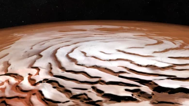 حیات بیگانه ممکن است زیر پوشش یخی مریخ پنهان شده باشد